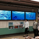Image for article titled Inside Tokyo's Infamous Suicide Train Station